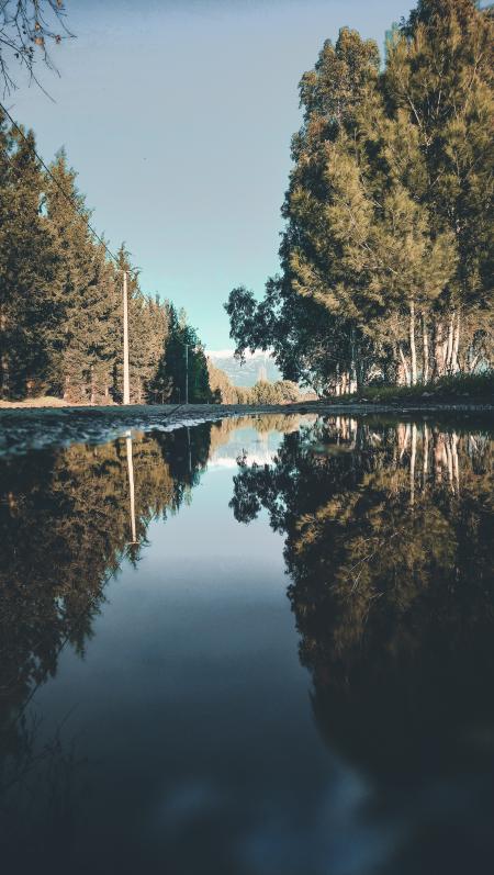 Landscape Photo of River Between Trees