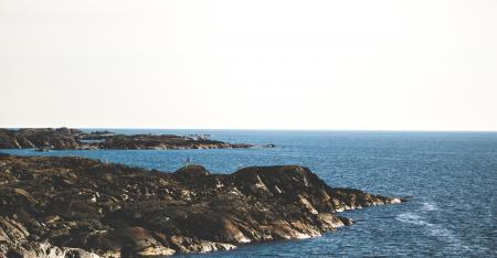 Landscape Photograph of Body of Water