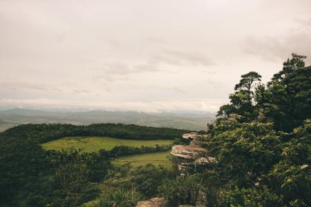 Landscape Photography of a Green Forest With Mountains