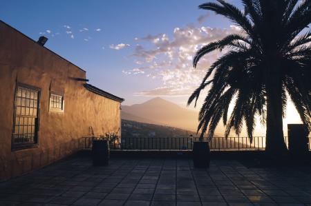 Landscape Photography of Brown Painted House Near Green Leaf Tree during Golden Hours