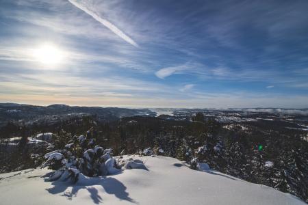 Landscape Photography of Mountain Covered With Snow Surrounded With Trees