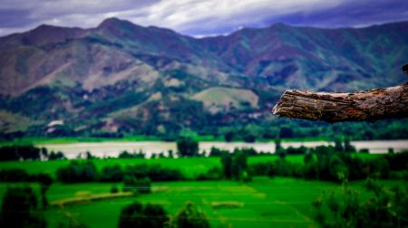 Landscape Photography of Mountains and Trees