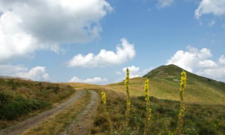 Landscape Photography Of Roadway Beside Mountain