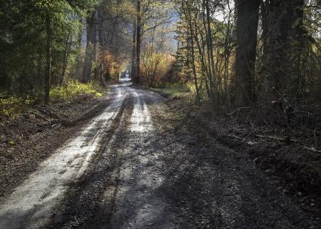 Landscape View of Roadway during Daytime