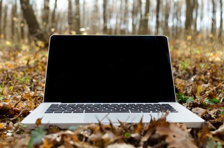 Laptop with Black Screen on Forest Floor