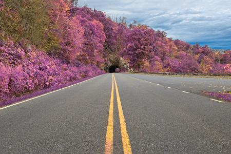 Lavender Skyline Drive - HDR