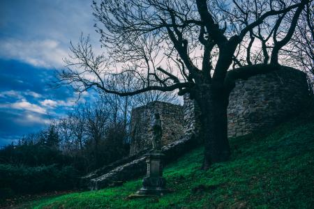 Leafless Tree Beside Gray Concrete Statue