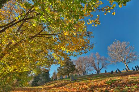 Leaning Fall Cemetery - HDR