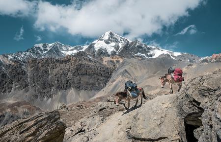 Let´s go hiking.