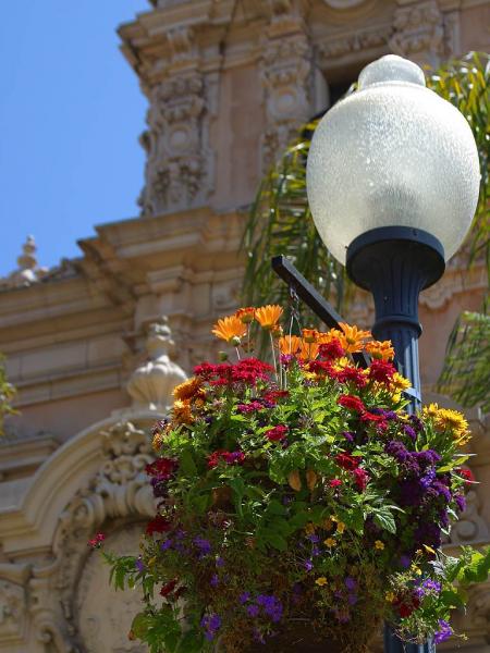 Light pole and flowers