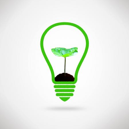 Lightbulb and plant sprout - Ecology and environment idea