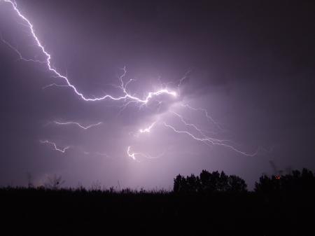 Lightning Crashed Under Trees during Night Time