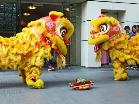 Lion Dance