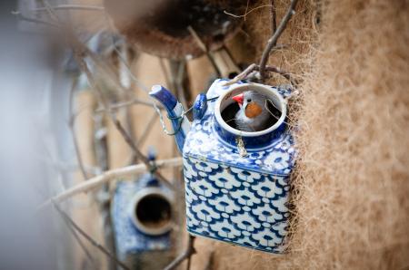 little bird on birdhouse teapot