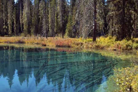 Little Crater Lake, Oregon