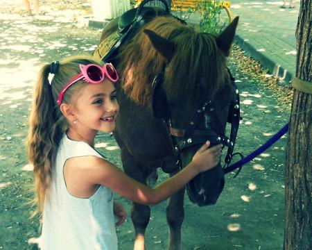 Little Girl Petting Horse