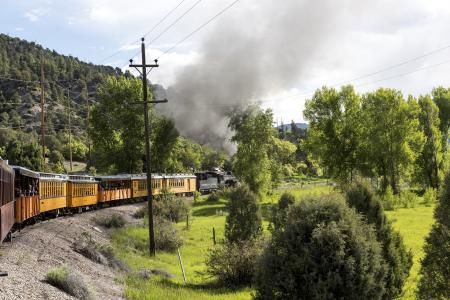 Locomotive Engine