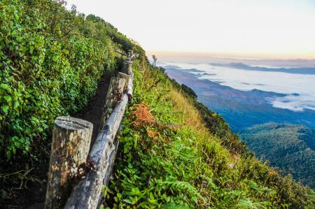 Log Fence on Mountain