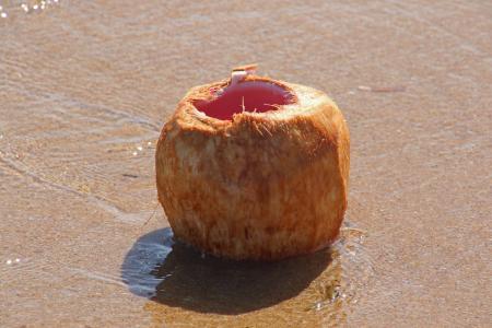 Lone coconut on the sand