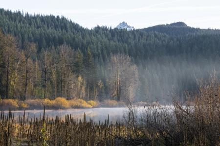 Lost Lake, Linn County, Oregon, Autumn Fog