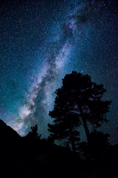 Low-angle Photograph of Stars