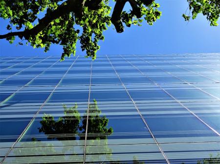 Low Angle Photography of Building Near Tree