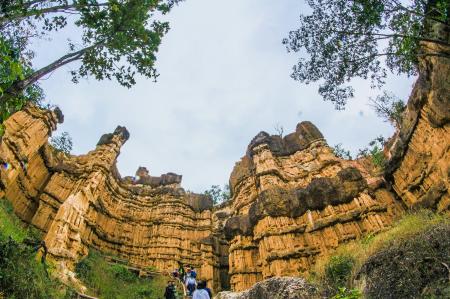 Low Angle View of Brown Ruins Near Green Leaf Trees