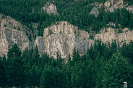 Lush Green Mountain