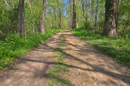 Lush Spring Trail - HDR