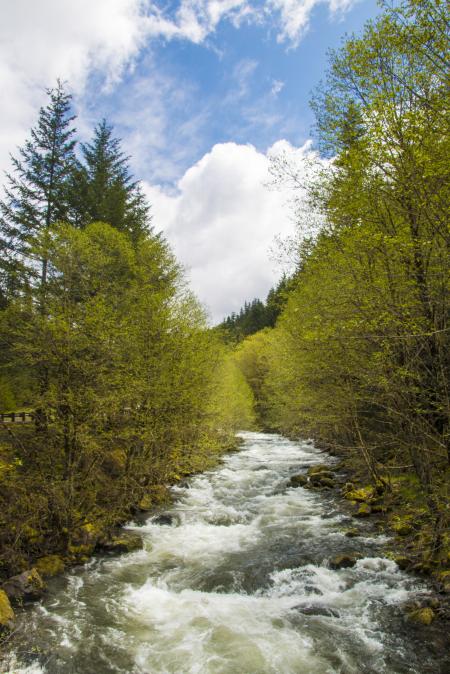 MacKenzie River, Oregon