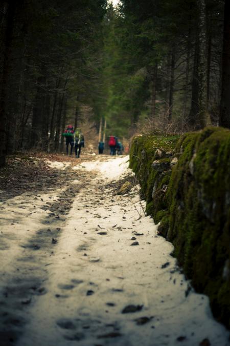 Macro Photography of Snowy Terrain