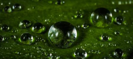Macro Photography of Waterdrops
