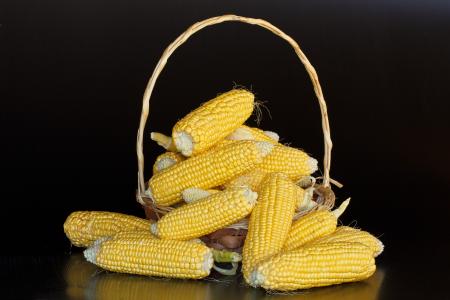 Maize