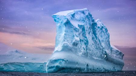 Majestic Icebergs