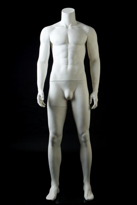 Male Manikin