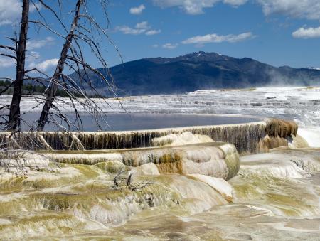 Mammoth Hot Springs