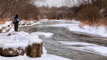 Man at the Side of Snowy River Surrounded Trees