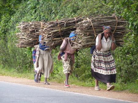 Man Carrying Firewoods