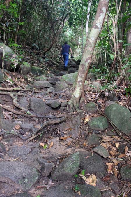 Man hikes up a mountain forest path