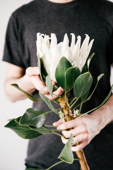 Man Holding White Petaled Flower on Bloom