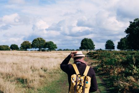 Man in Black Long Sleeve Shirt Walking Between Grass during Daytime
