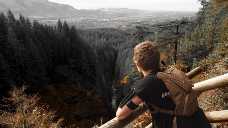 Man in Black Shirt and Brown Backpack Leaning on Brown Wooden Handrail Looking over Green Leaf Pine Trees and Creek