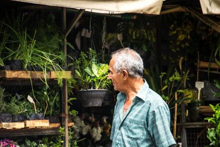 Man in Blue Button-up T-shirt Walks Near Green Leaf Plants