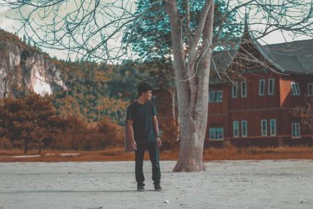 Man in Blue Crew Neck Shirt Standing Behind Brown Tree