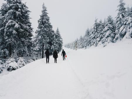 Man on Black Jacket Walking on Snow