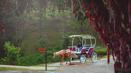 Man Riding Horse Carriage