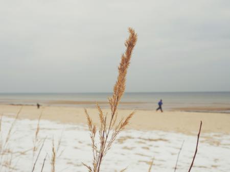 Man Running Near the Sea Shore during Day Time