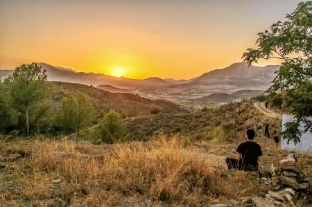 Man Sitting in Stone Near Green Tree