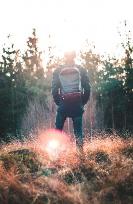 Man Standing Infront of Forest