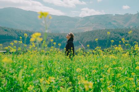 Man Standing on Yellow Bed of Flowers